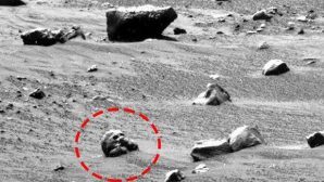 Уфолог Скотт Уоринг: На Марсе найден череп инопланетянина