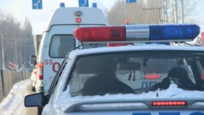 В Новгородском районе автоледи раздавила насмерть 29-летнюю женщину