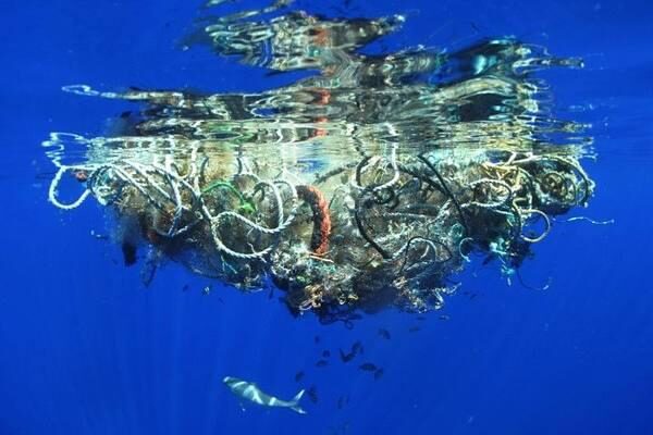 В Тихом океане ученые обнаружили гигантский «мусорный остров»