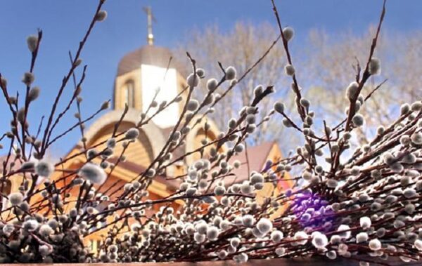 Вербное воскресенье отметят православные: обычаи и традиции этого дня