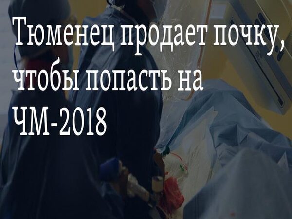 Житель Тюмени готов продать почку ради билета на Чемпионат мира по футболу