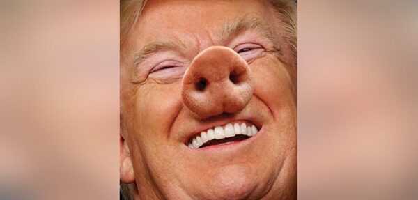 New York Magazine изобразил Трампа со свиным пятачком
