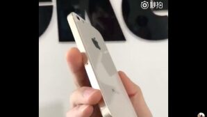 В Сети появились первые фотографии смартфона iPhone SE 2?