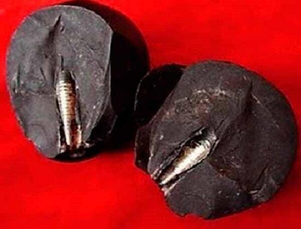 Ланьчжоуский камень: артефакт возрастом 300 миллионов лет ломает привычную теорию происхождения жизни на Земле