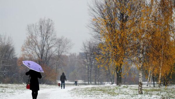 Когда выпадет первый снег в Москве, сообщили синоптики