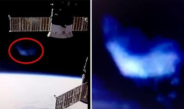 NASA скрывает инопланетную жизнь: конспирологи обнаружили гигантский объект возле МКС