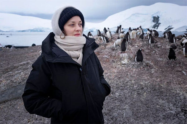 В гости к пингвинам: Марион Котийяр побывала в Антарктиде
