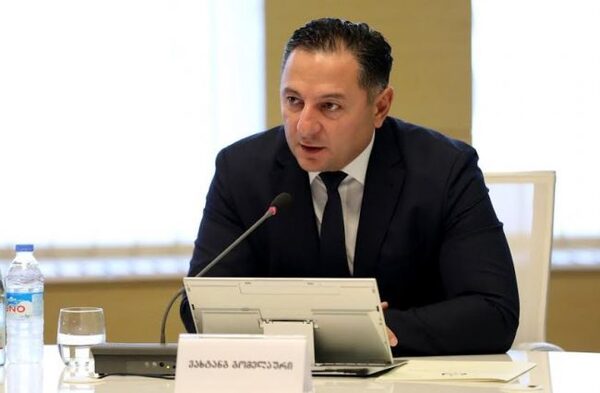 Глава МВД Грузии стал новым руководителем Совета нацбезопасности