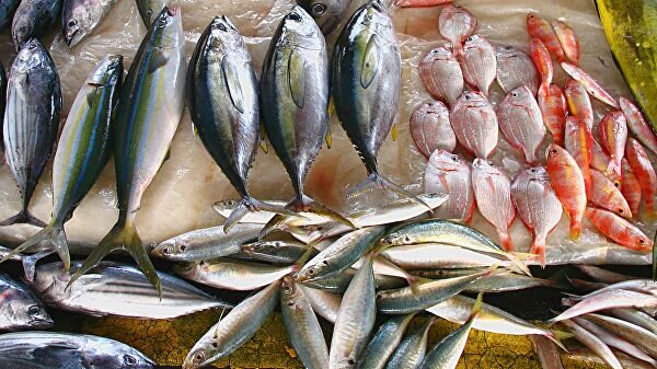 Эксперт назвал опасные для здоровья виды рыб