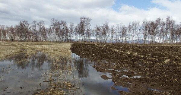 Минсельхоз России разрабатывает комплекс мер по подготовке к весеннему паводку