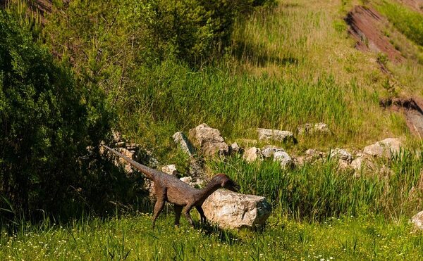 На юго-западе Китая международная группа ученых обнаружила следы динозавров