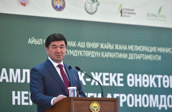 Премьер Киргизии: крупный инвестор ушел из-за недоверия народа к власти