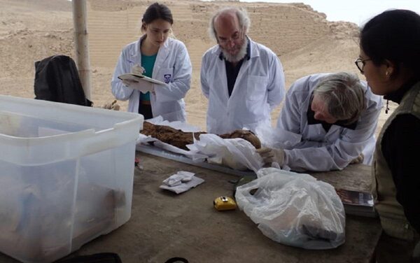 При сканировании древних мумий в Перу обнаружены загадочные артефакты