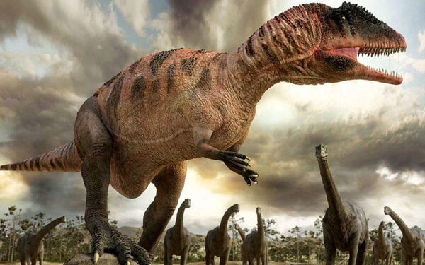 Тайну следов динозавров на потолке пещеры раскрыли палеонтологи