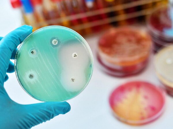 Ученые из США нашли антибиотик, эффективный против устойчивых бактерий