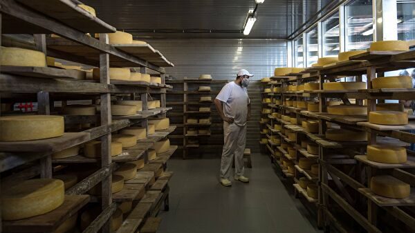 "Успехи заметны". Дипломат об участии Италии в производстве сыров в РФ