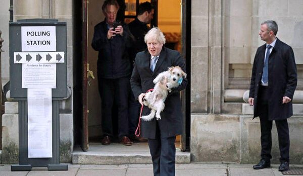 В Британии отметили всплеск интереса к отечественным породам собак