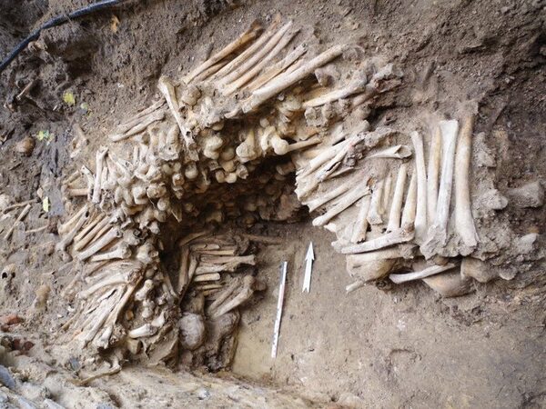 Возле собора в бельгийском Генте нашли стены из человеческих костей