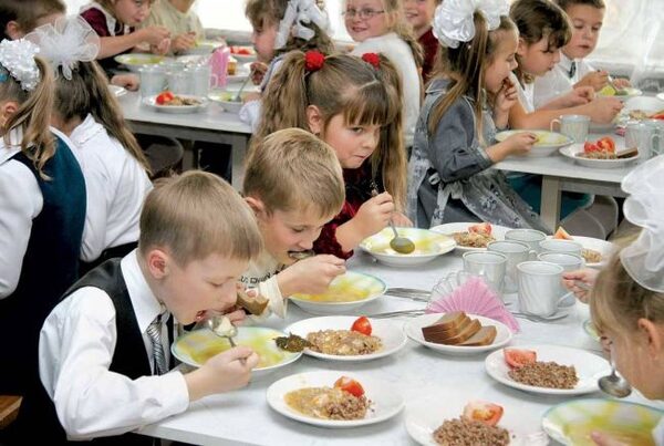 Законопроект о горячем питании в школах доработан до рассмотрения Госдумой
