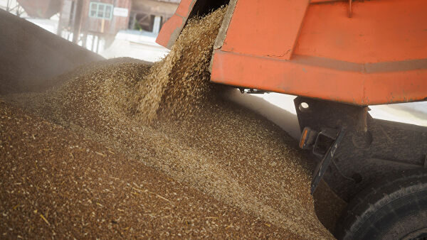 Зерновой союз сообщил о ситуации с поставками зерна в Китай