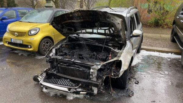 Ещё одному политику «Альтернативы для Германии» сожгли автомобиль