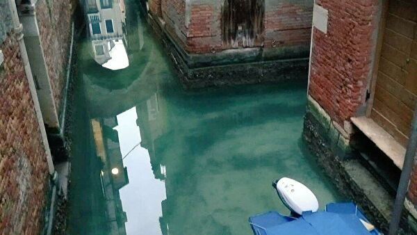 Из-за карантина в каналах Венеции вода стала чистой
