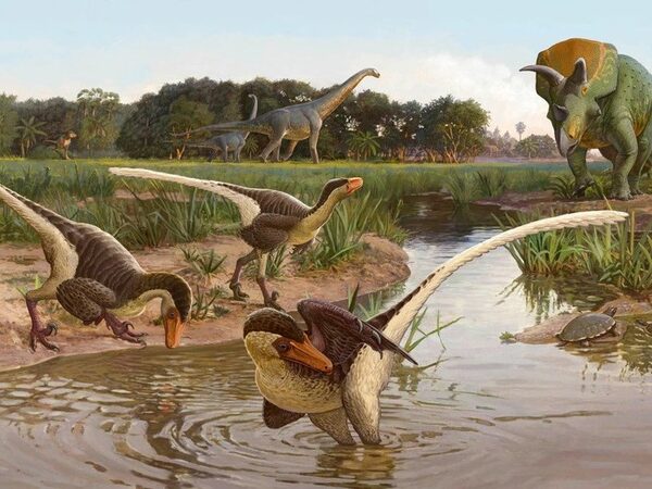 На юго-западе США обнаружен новый вид динозавров