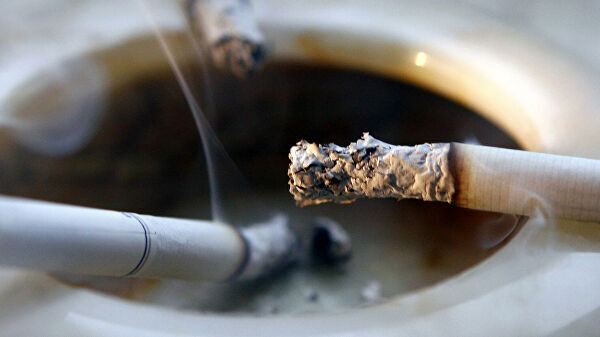 Россельхознадзор может получить право изымать нелегальные сигареты