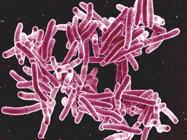 Стало известно, как возбудитель туберкулеза обеспечивает себя необходимым витамином