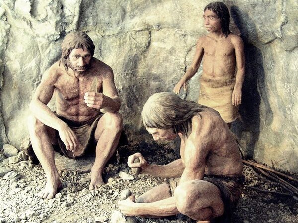 В меню неандертальцев из португальской пещеры входили крабы и мидии