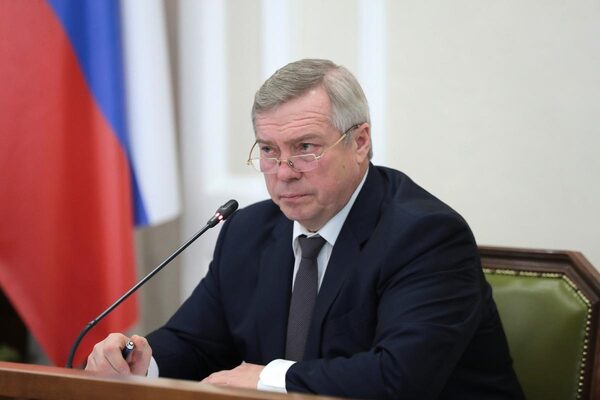 Губернатор Ростовской области оценил экономические потери региона из-за пандемии