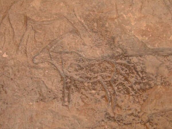 На Синайском полуострове найдены древние петроглифы