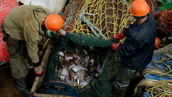 Россельхознадзор отменил запрет на ввоз живой рыбы из Китая