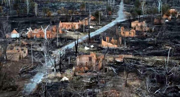 Уникальная природоохранная зона Чернобыля уничтожена лесными пожарами