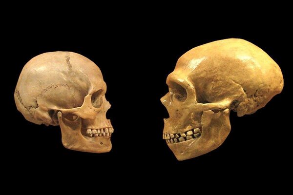 В Болгарии найдены следы Homo sapiens, которым более 45 тысяч лет