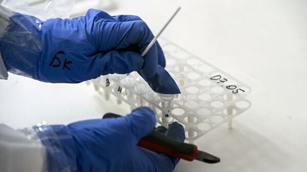 В России провели более 5,2 миллиона тестов на коронавирус