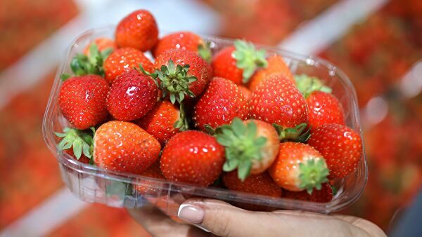Эксперты ожидают снижение урожая ягод в 2020 году