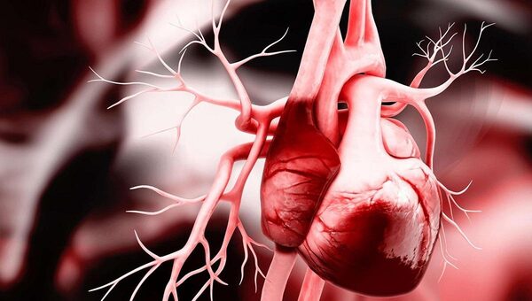 Коронавирус оказался способен повреждать ткани сердца