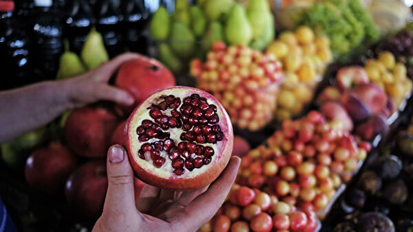 Производство плодово-ягодной продукции на Кубани выросло на 53 процента