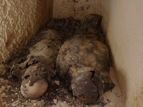 В Египте нашли две мумии. Но надежда отыскать гробницу Клеопатры не оправдалась