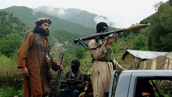В МИД России не исключили возвращения талибов к власти в Афганистане