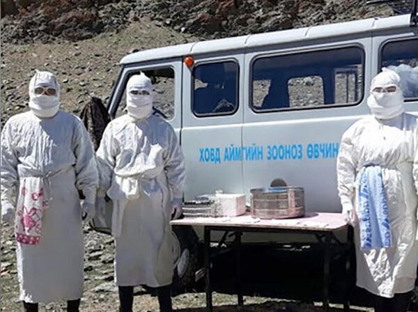 В Монголии выявили два случая бубонной чумы