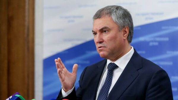 Володин запросил информацию о двойном гражданстве ряда депутатов Госдумы