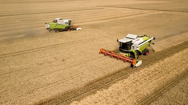 Специалисты прогнозируют рекордный урожай зерна в Тамбовской области