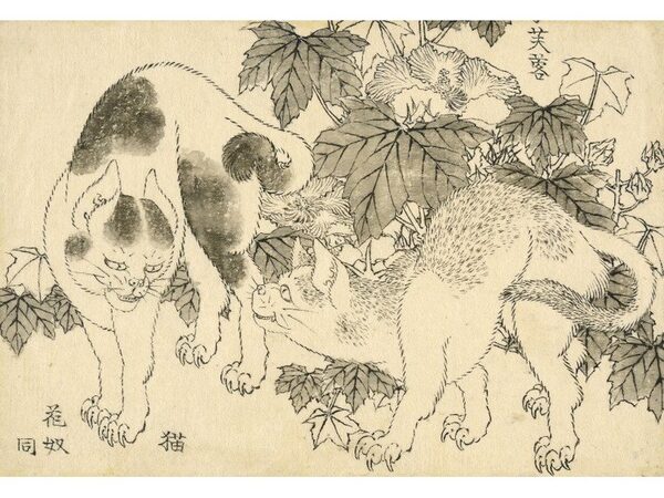 Британский музей приобрел собрание неизданных рисунков Хокусая