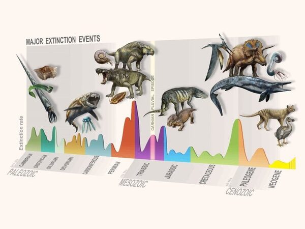 Палеонтологи выявили еще одно массовое вымирание в истории Земли
