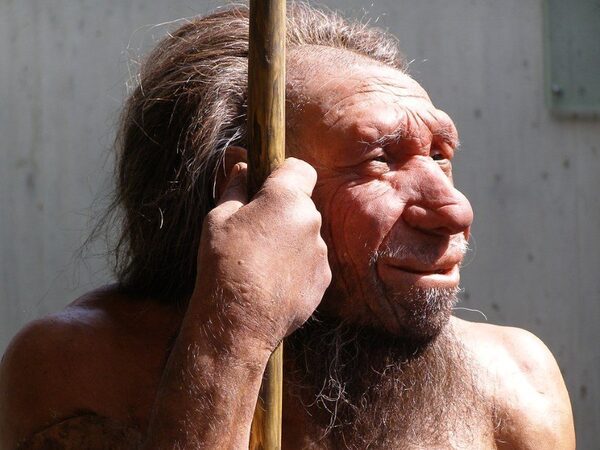 Прочитан митохондриальный геном неандертальца, жившего в Европе 80 тысяч лет назад