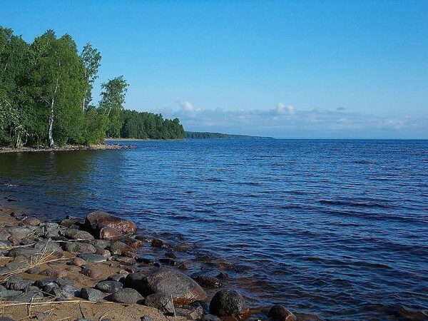 В донных отложениях Онежского озера концентрация микрочастиц пластика вдвое выше, чем в Балтике