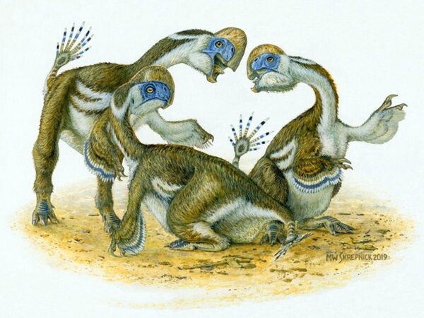 Новый вид динозавров назван в честь трехглавого орла из якутского эпоса