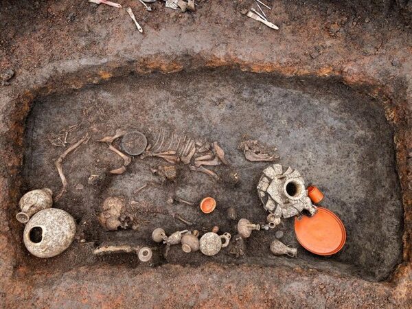 В детском погребении I века обнаружили кости щенка